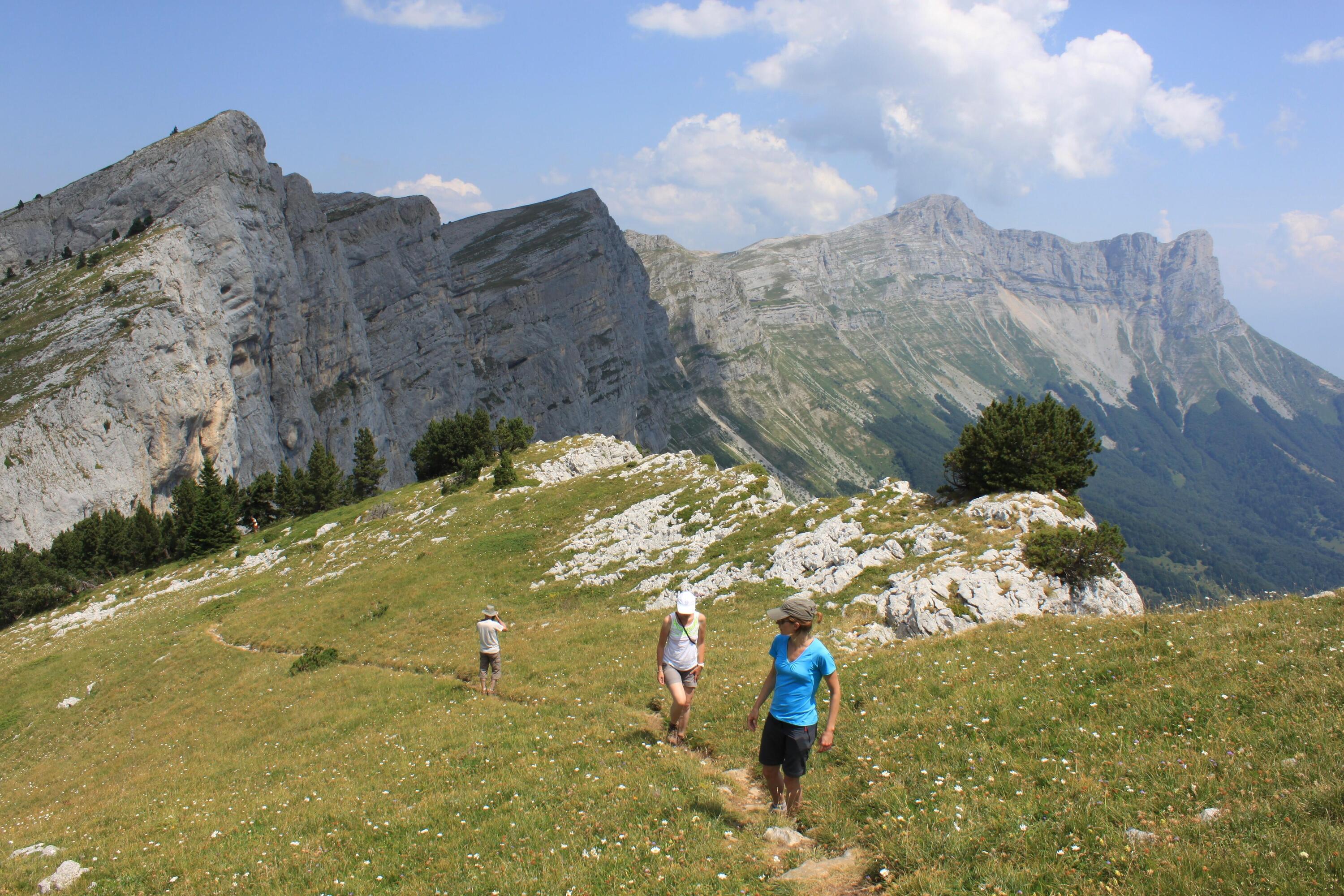 DECATHLON TRAVEL picture