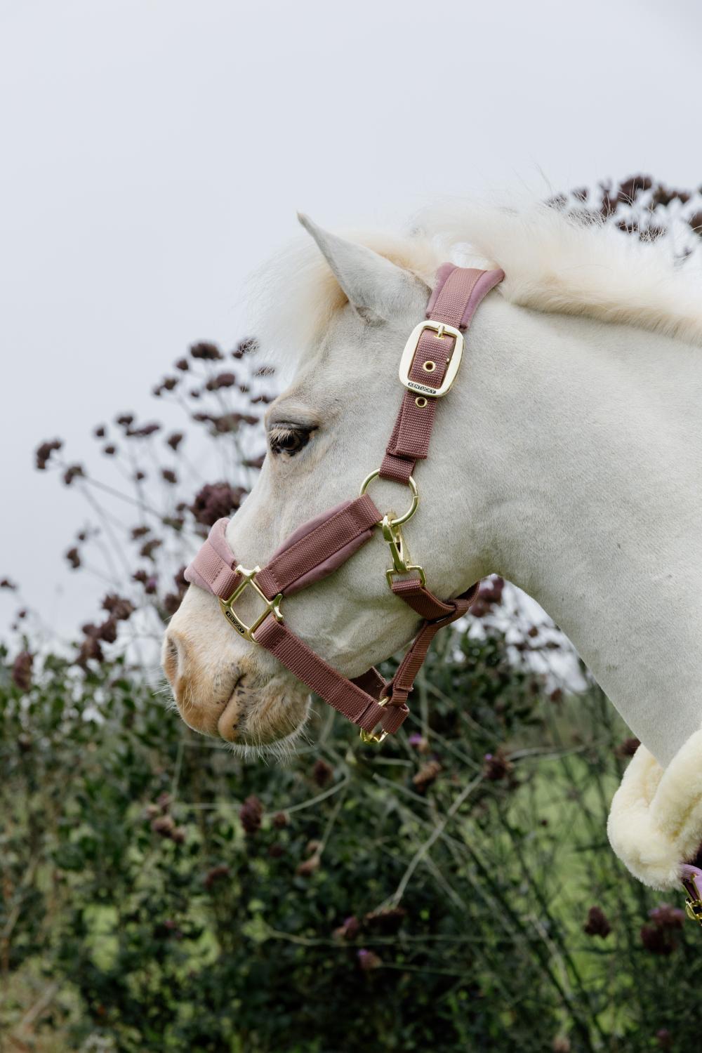 Velvet Halfter alt rosa shetlad pony 5/7