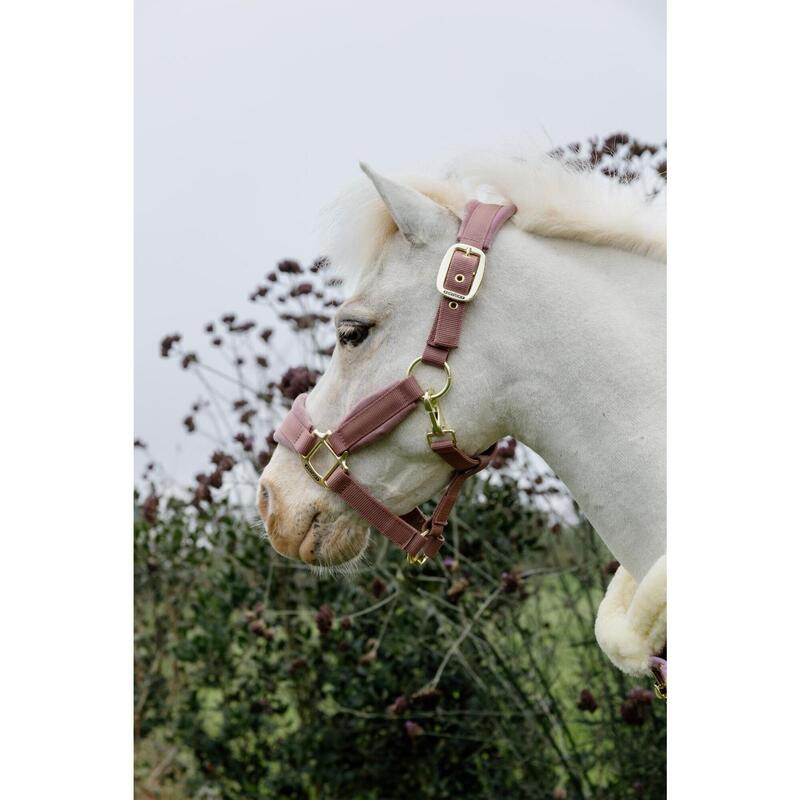 Kentucky Velvet Halster Roze -