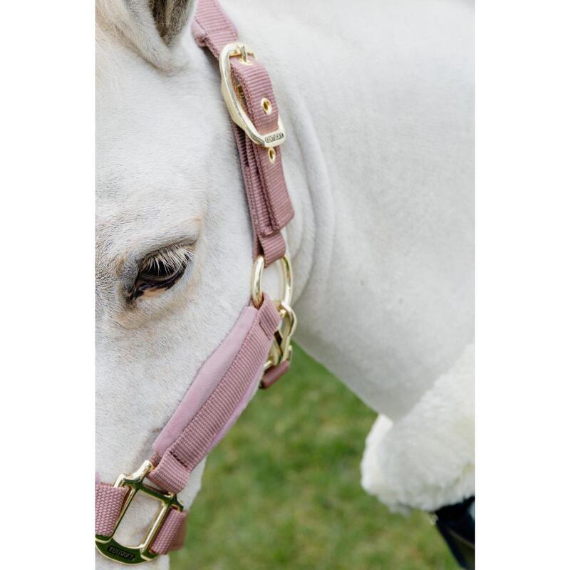 Kentucky Velvet Halster Roze -