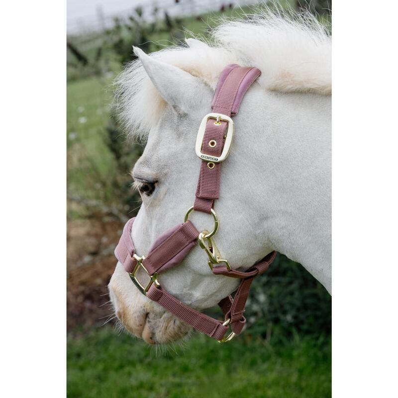 Kentucky Velvet Halster Roze -