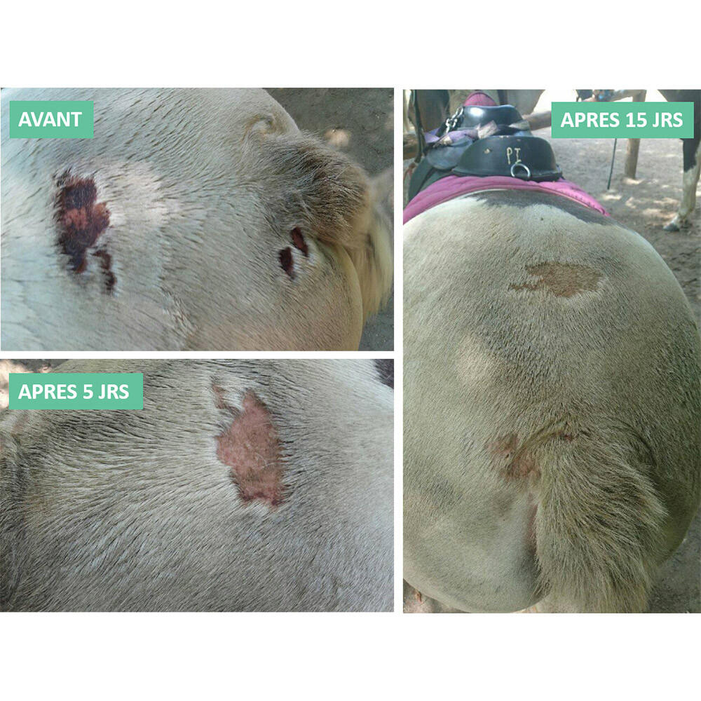 Baume anti-démangeaisons et dermites cheval, chien Ekin 200g 2/2