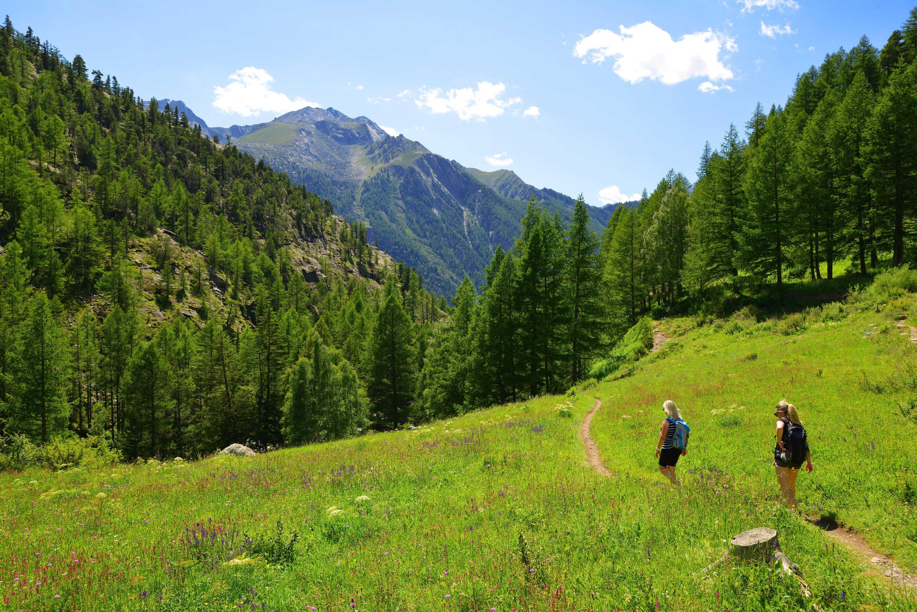 DECATHLON TRAVEL picture