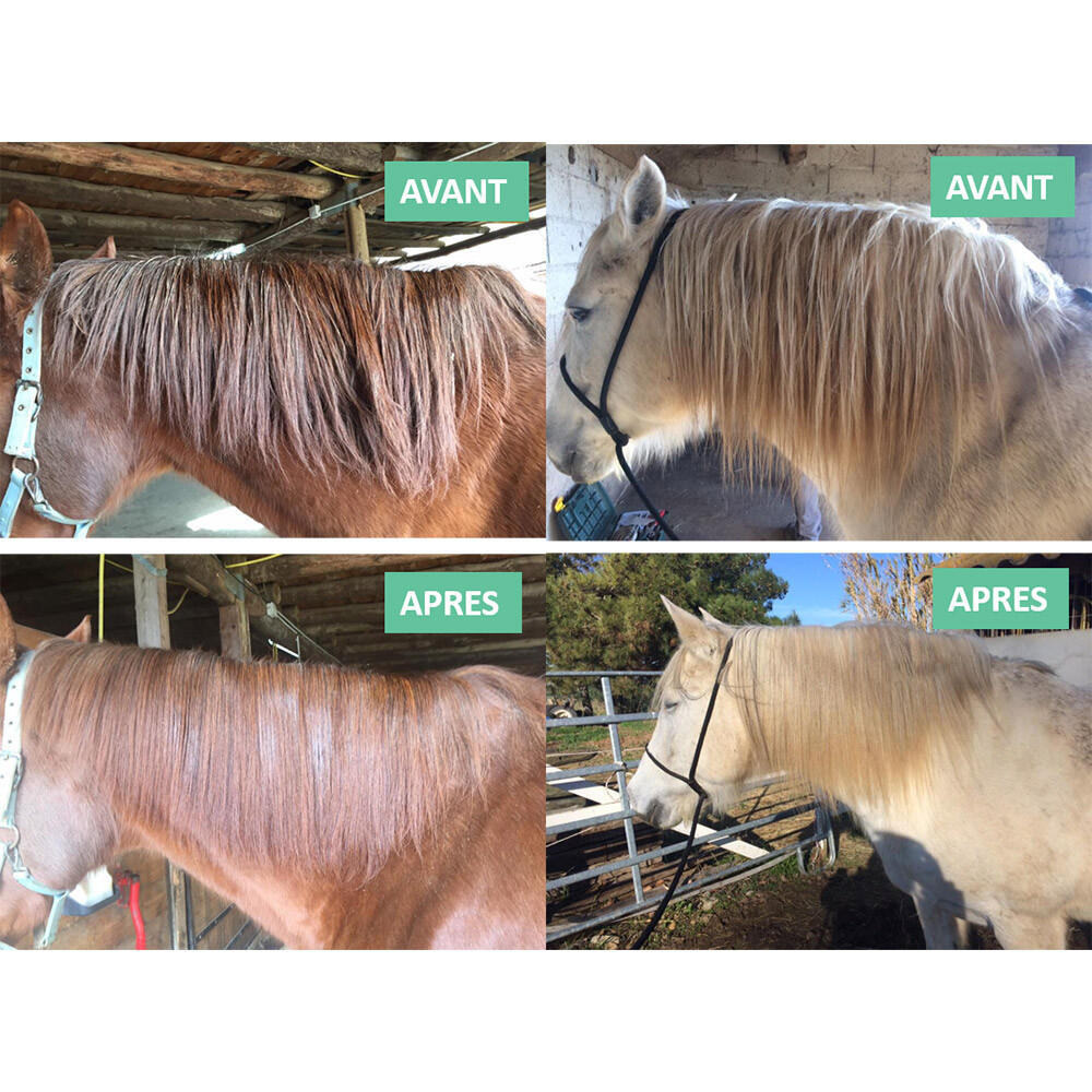 Soin démêlant crin cheval Ekin 4L + spray flexible 1m 2/2