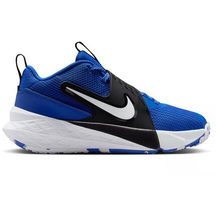Zapatillas de Baloncesto Niño Nike Team Hustle D 12 (GS) HF6279-400 Azul