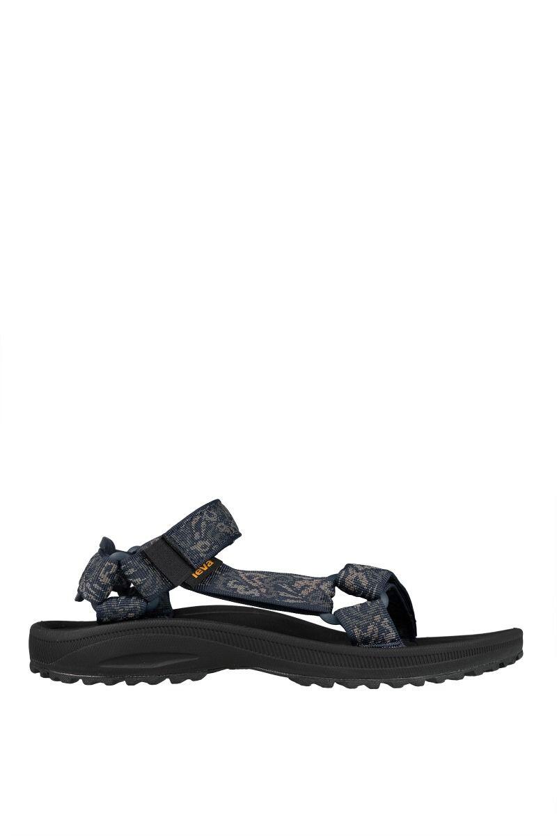 TEVA picture