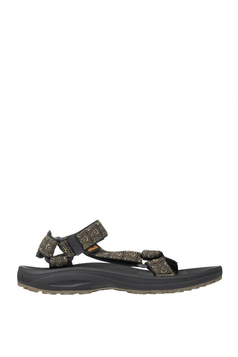 TEVA picture
