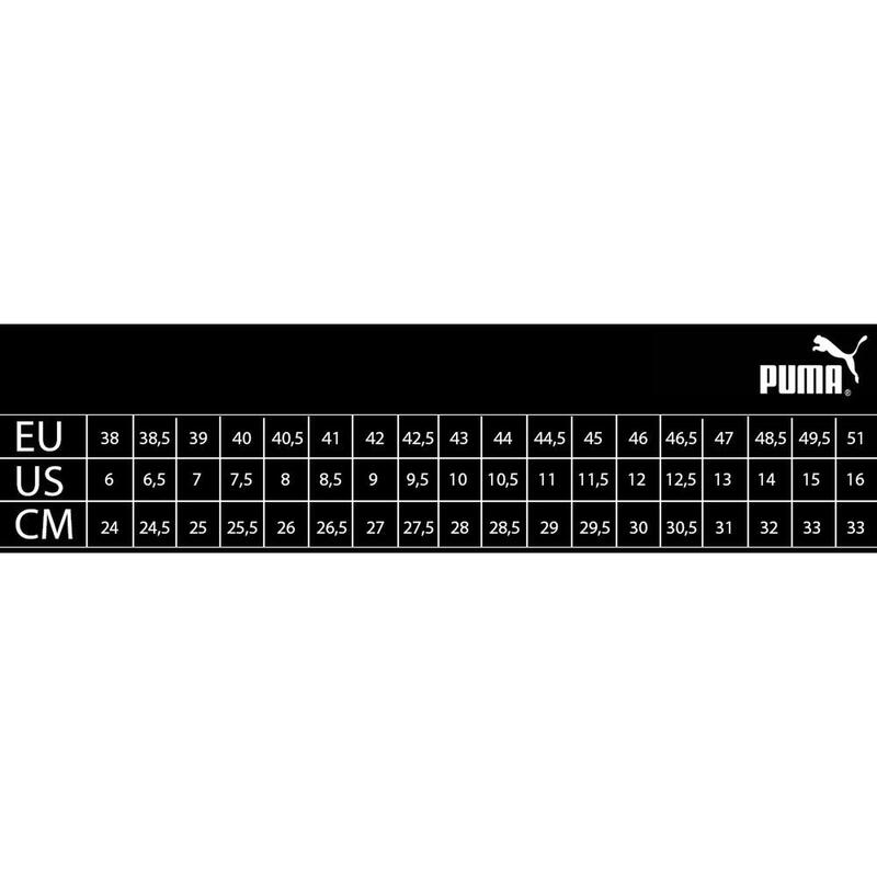 Încălțăminte Sport Bărbați Puma Axelion LS