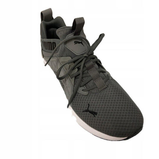 PUMA picture