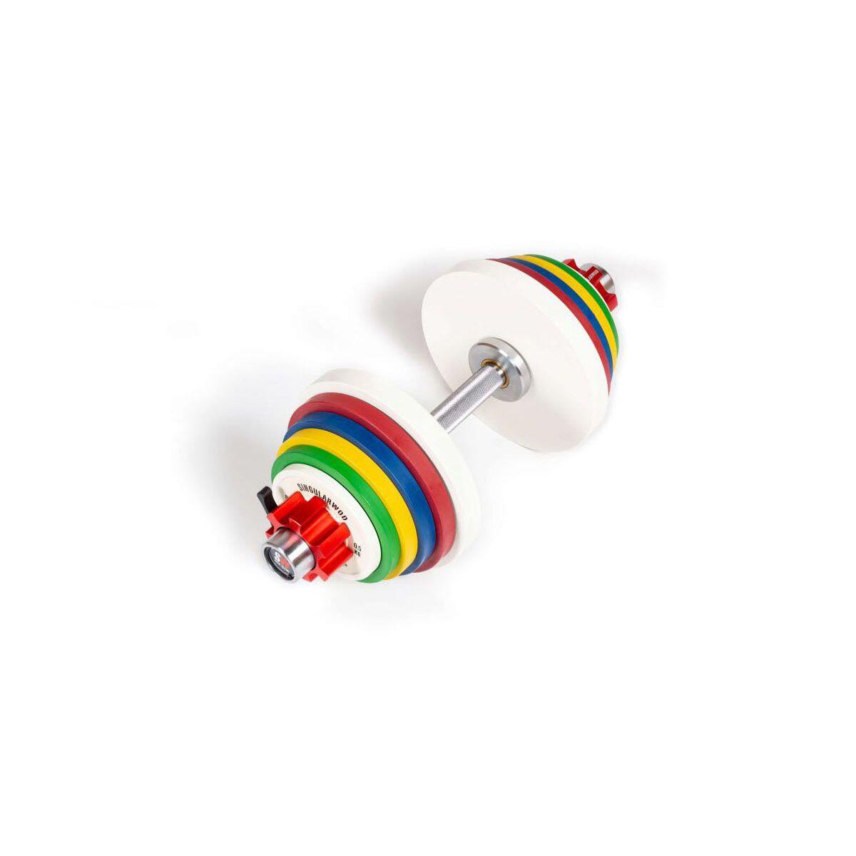 Mancuerna Ajustable De Discos Fraccionales 2/4