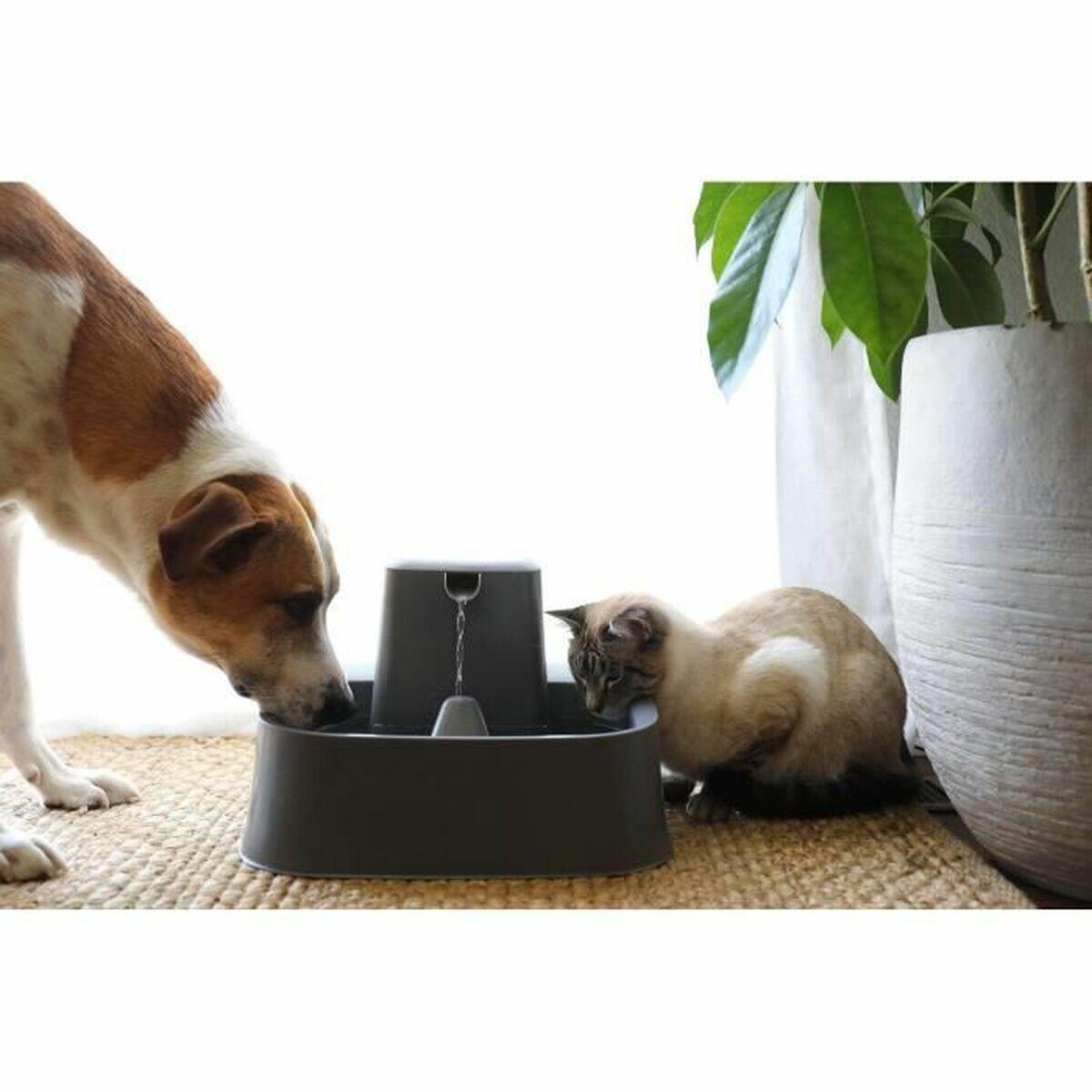 Fontaine pour Animaux de Compagnie PetSafe 7,5 L 3/3