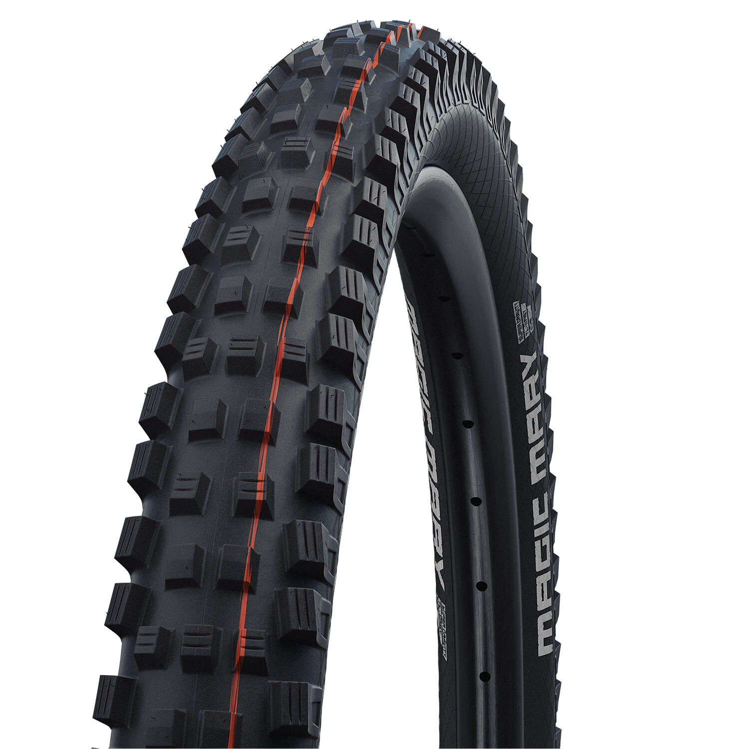 SCHWALBE picture