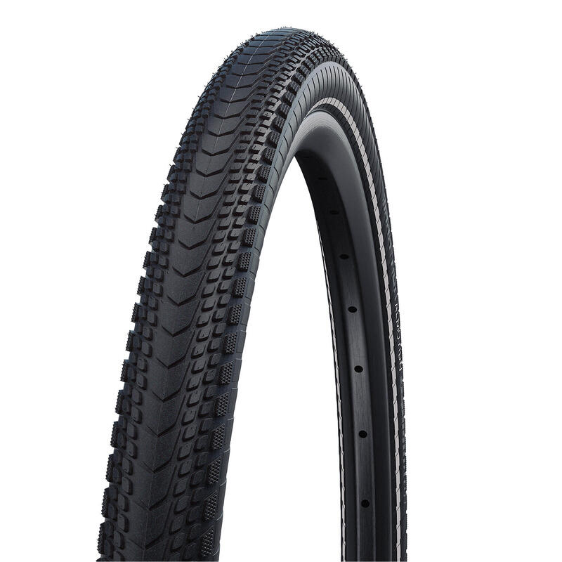 SCHWALBE