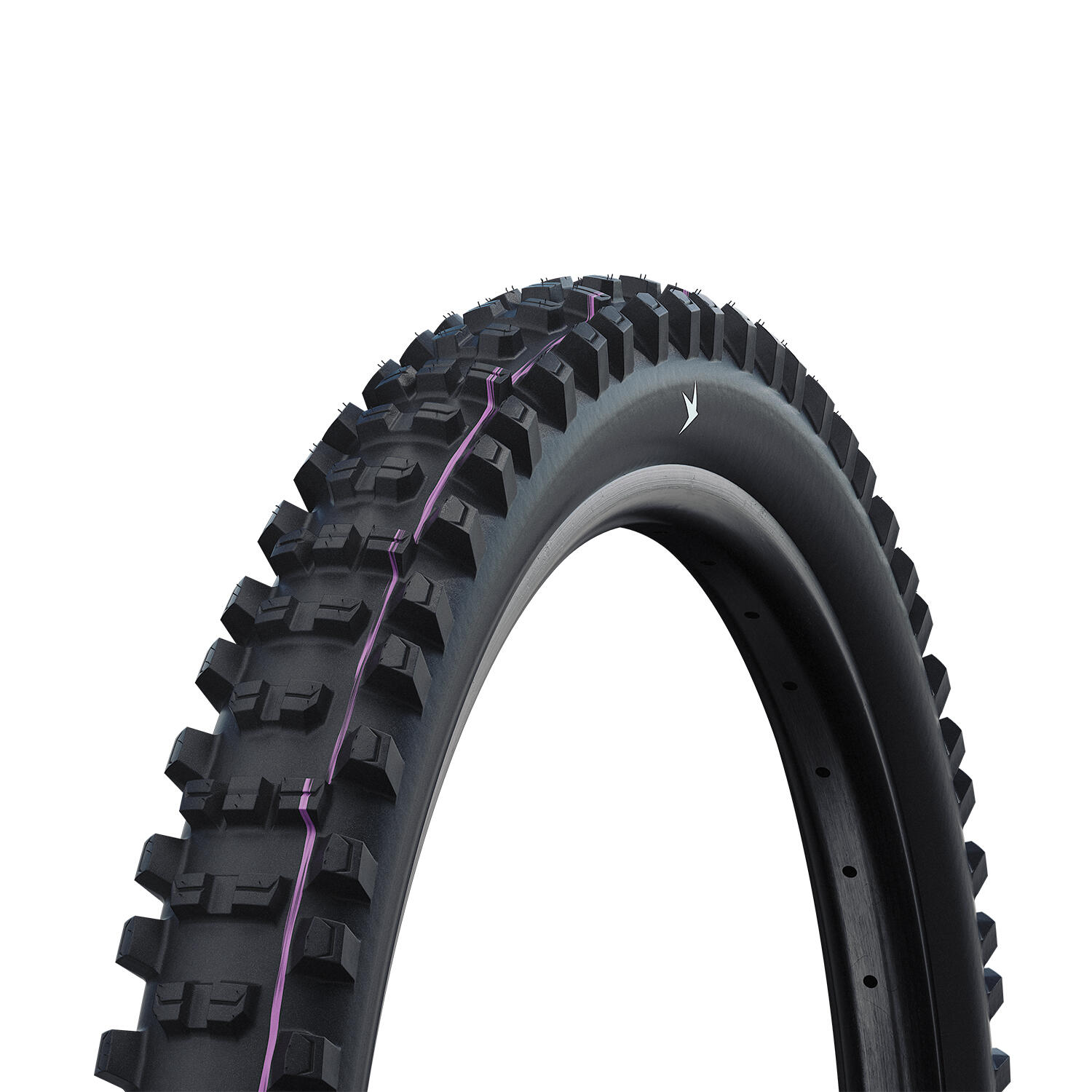 SCHWALBE picture