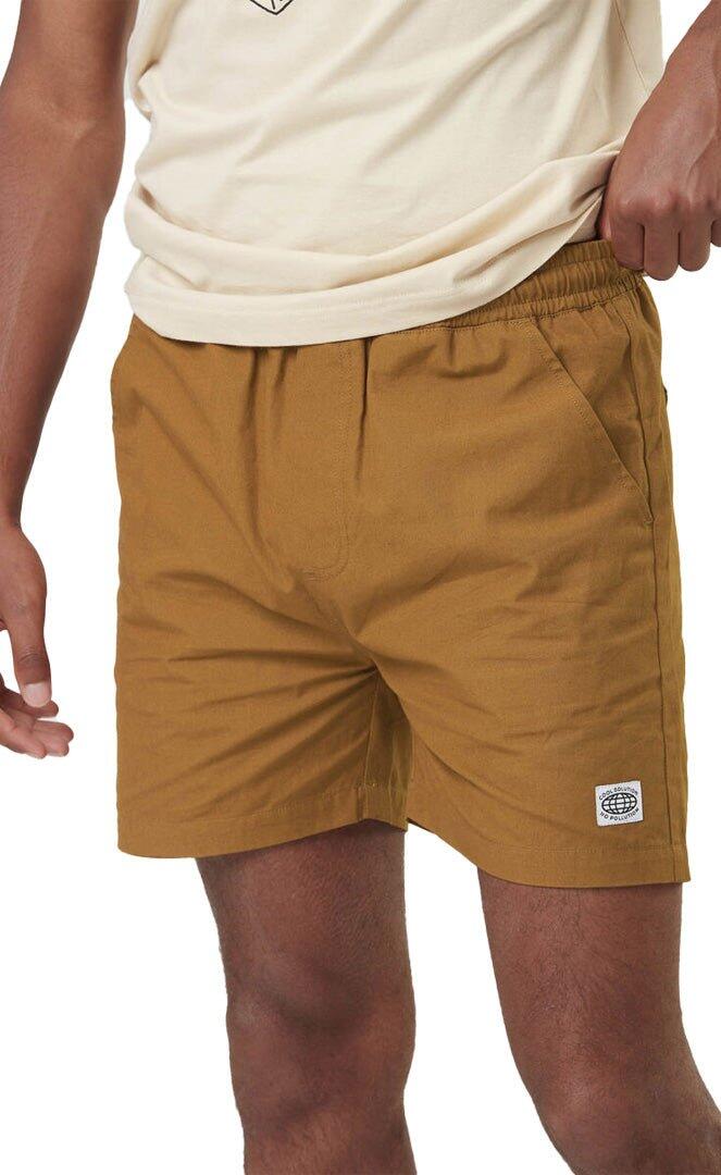 PICTURE picture
