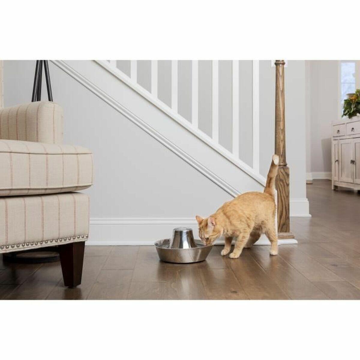 Mangeoire pour chiens PetSafe Acier inoxydable 3/5