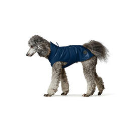 Manteau pour Chien Hunter Milford Bleu