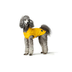 Manteau pour Chien Hunter Milford Jaune