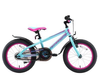 Bicicletta per bambini 16 pollici dai 4 - 6 anni. Urban Jungle