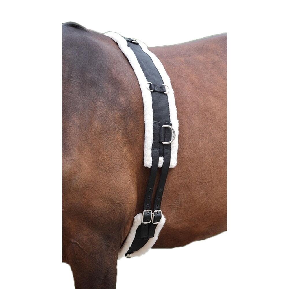 Rouleau De Longe Pour Chevaux (Noir) 3/3