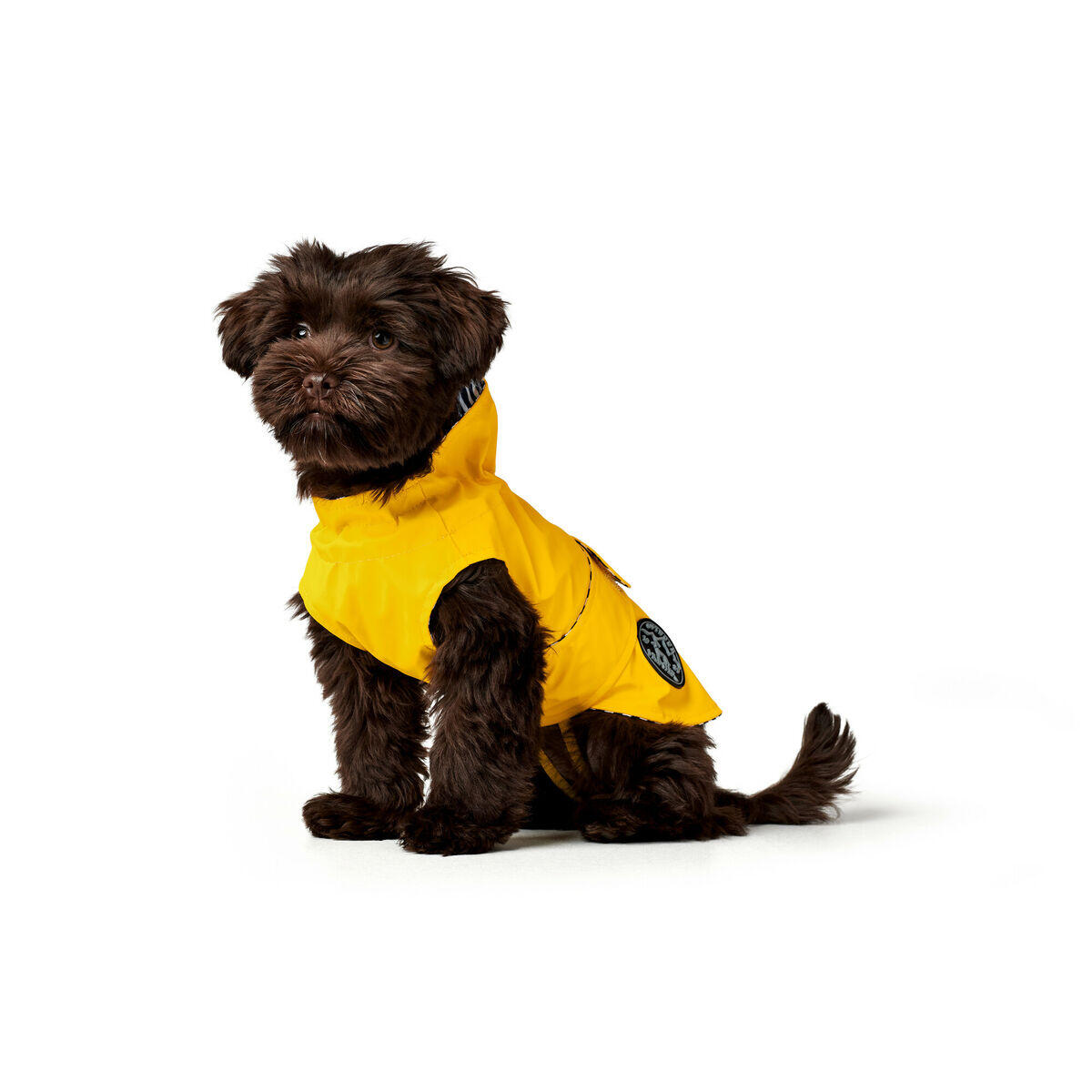 Manteau pour Chien Hunter Milford Jaune 4/5