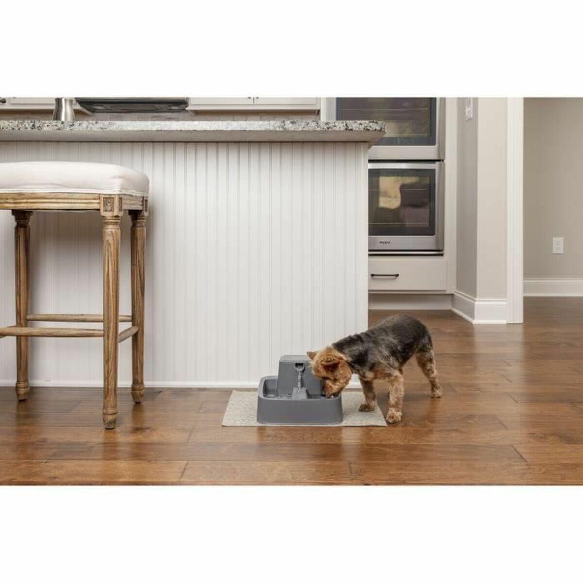 Fontaine pour Animaux de Compagnie PetSafe 1,8 L 2/2