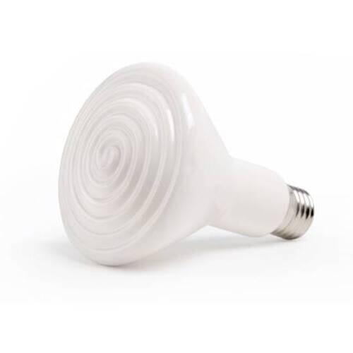 Glühbirne Komodo Radiant Heat