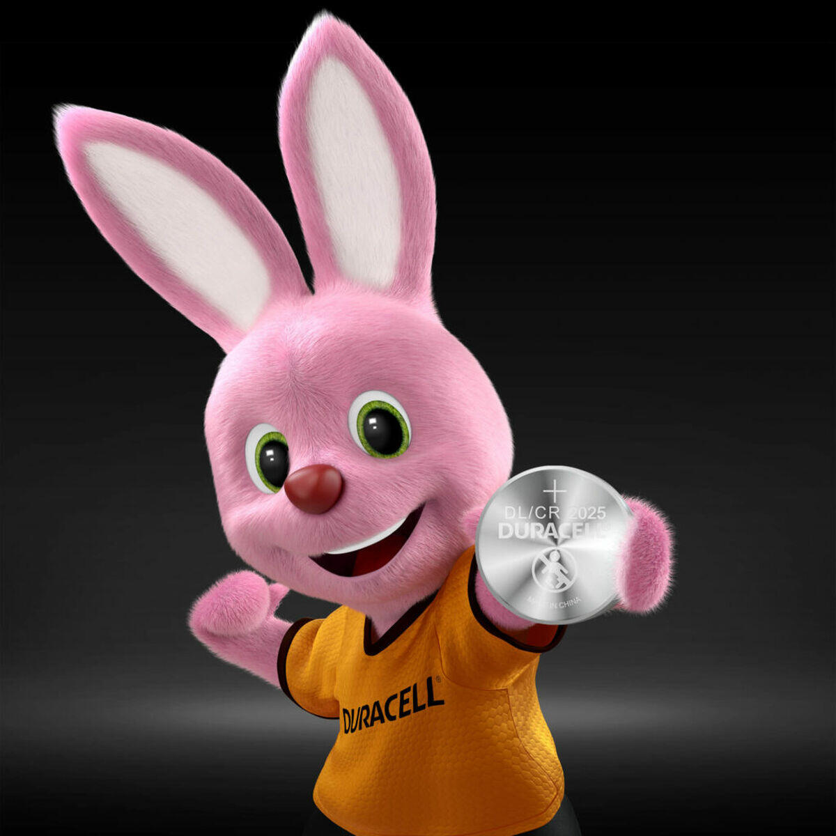 Batterie DURACELL 10 Unità 2/2