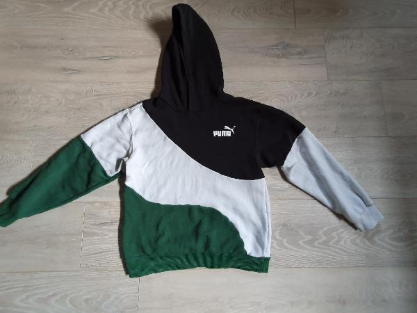 PUMA picture