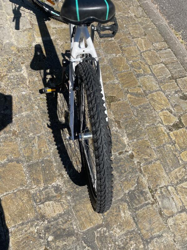 Tussen Particulieren - BH 20-inch mountainbike 3/4