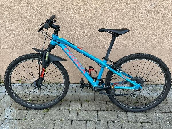 ORBEA picture
