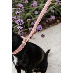 Laisse pour chien Teddy Fleece 120cm - Kentucky