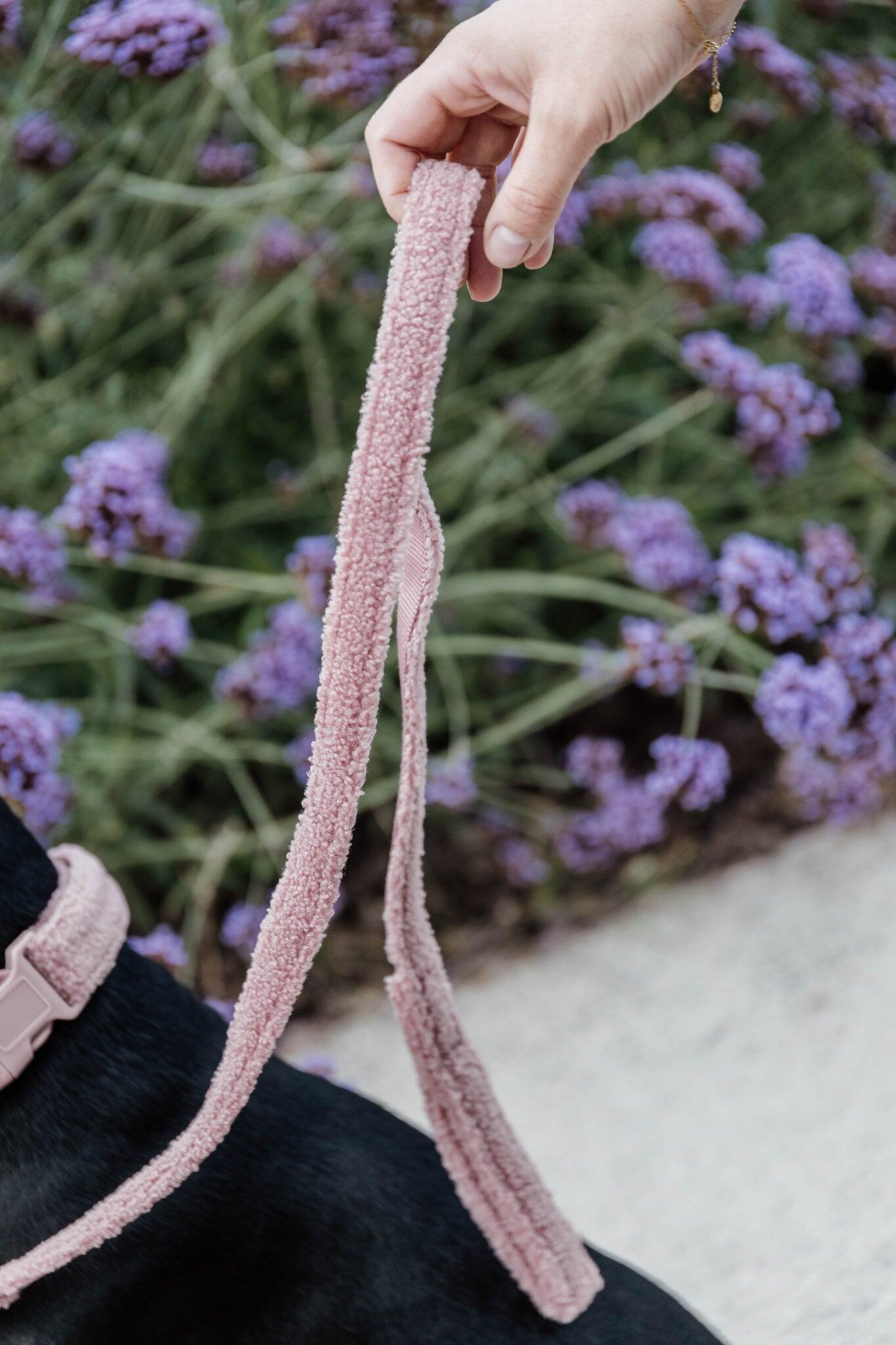 Fleece dog leash Kentucky Teddy 120 cm 2/5