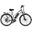 Bicicletă electrică pentru adulți Anvelope de 28 inchi EVERCROSS - EK28 Argintiu