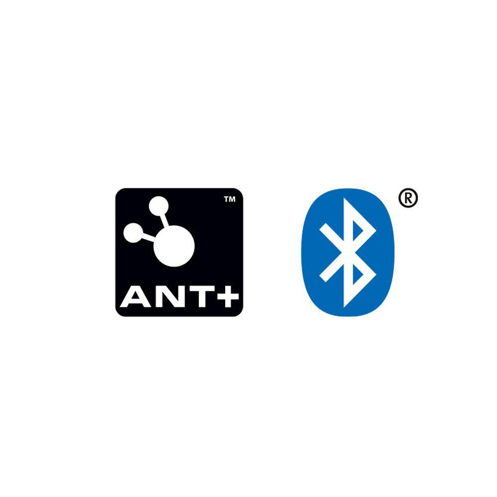 Sigma Speed Sensor ANT+ Bluetooth Smart Dual - Magnetless 2/2