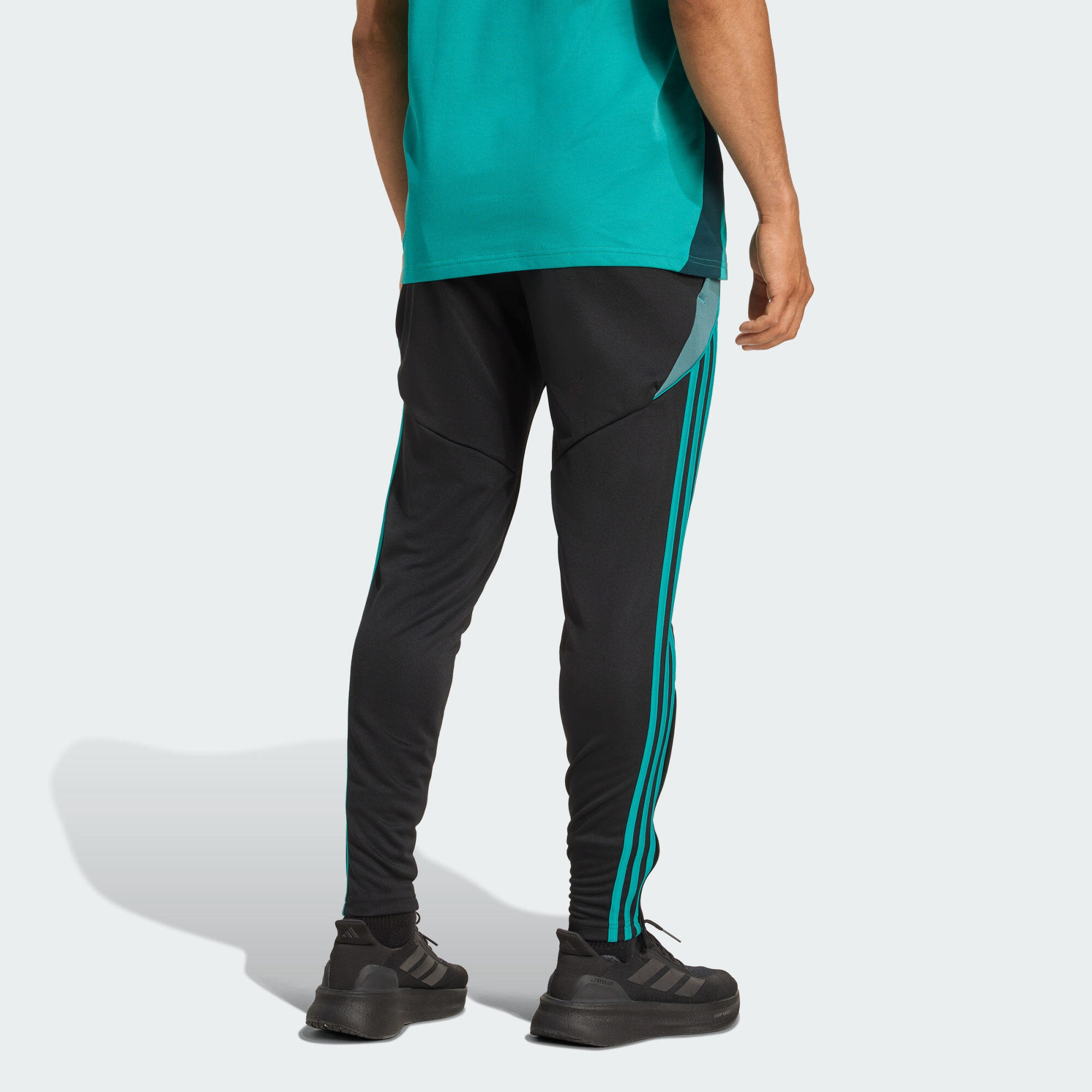 Pantaloni da allenamento All Blacks 3/6