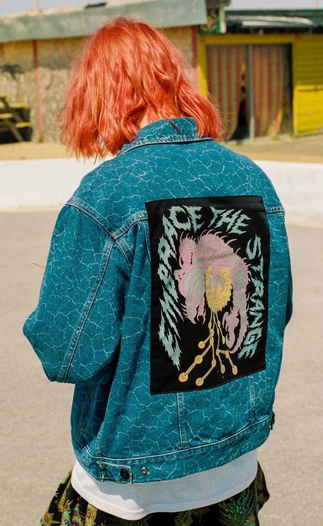 VOLCOM picture
