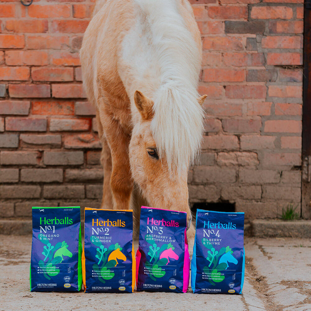 Friandises naturelles cheval Herballs Framboisier guimauve Hilton Herbs 5/5