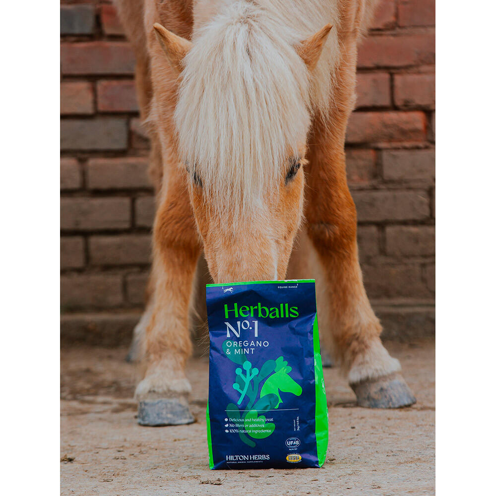 Friandises naturelles cheval Herballs Hilton Herbs 2Kg 5/7