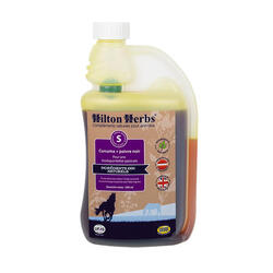 Locomotion et digestion cheval, chien Curcuma + Poivre noir Hilton Herbs 500mL
