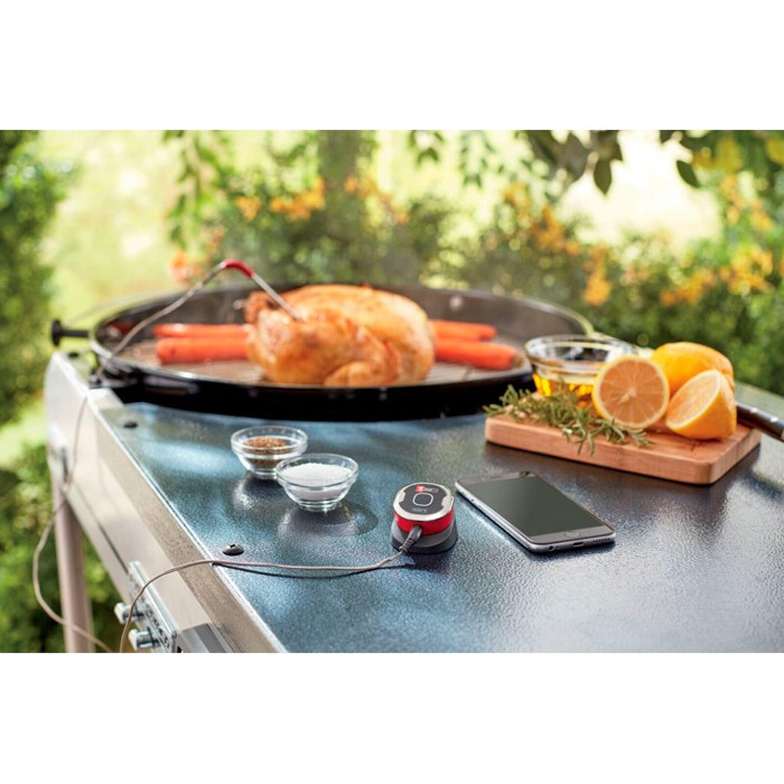 Weber Igrill Mini termometro 2/4