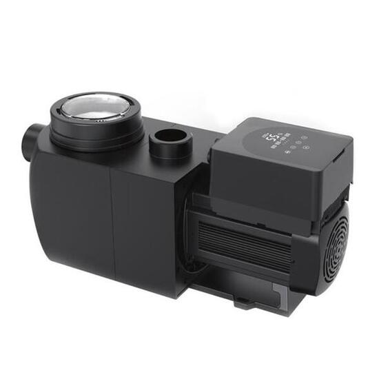 VSP -Filtrationspumpe