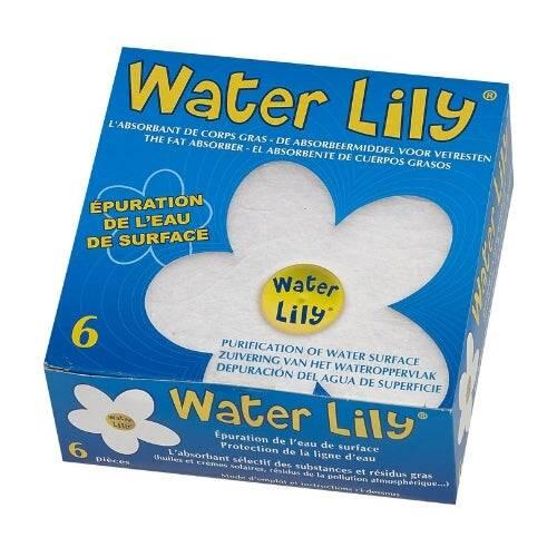Lirio de agua 2/7