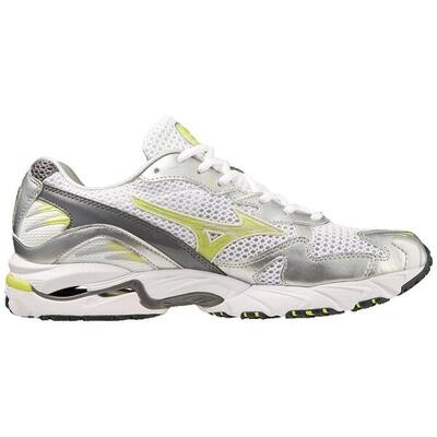 Zapatillas de running Adulto Mizuno Wave 10 Plata