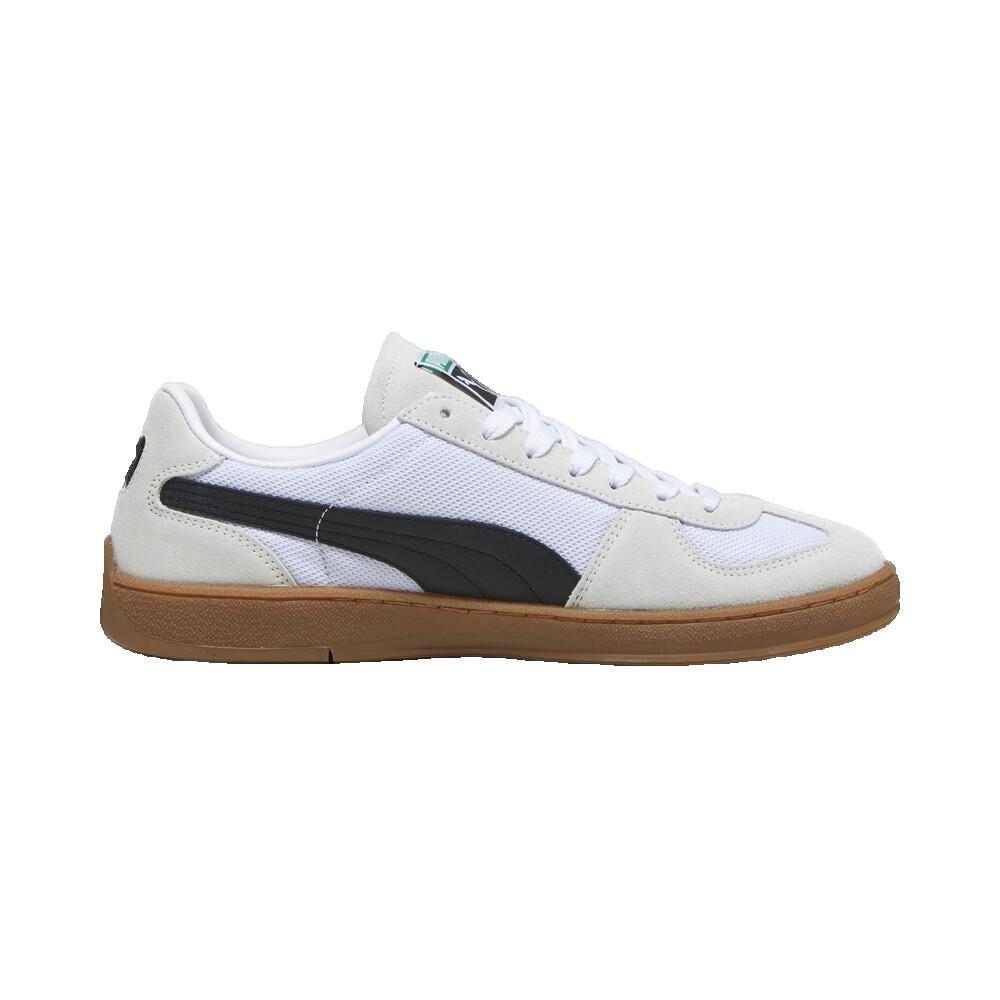 PUMA picture