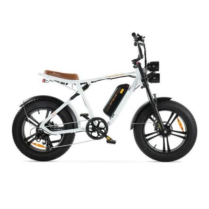 ENGWE M20 - Électrique Fatbike - Vert