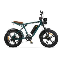 ENGWE M20 - Électrique Fatbike - Blanc