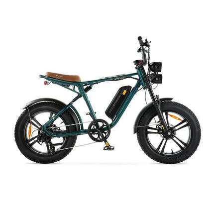 ENGWE M20 - Électrique Fatbike - Vert