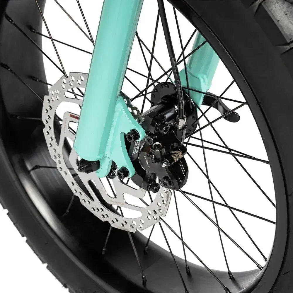 Ruff Cycles Lil'Missy - Holly 7/7