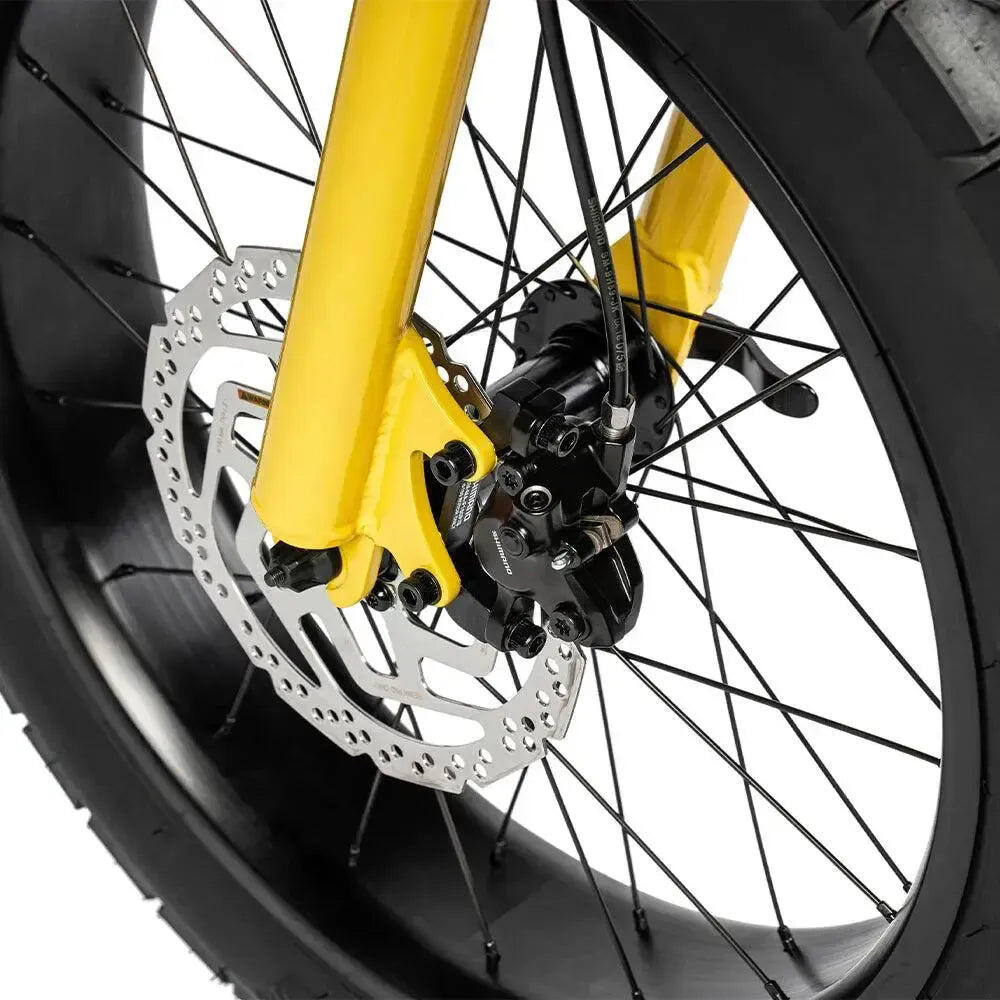Ruff Cycles - Lil'Missy - Fatbike - Baby B 7/7